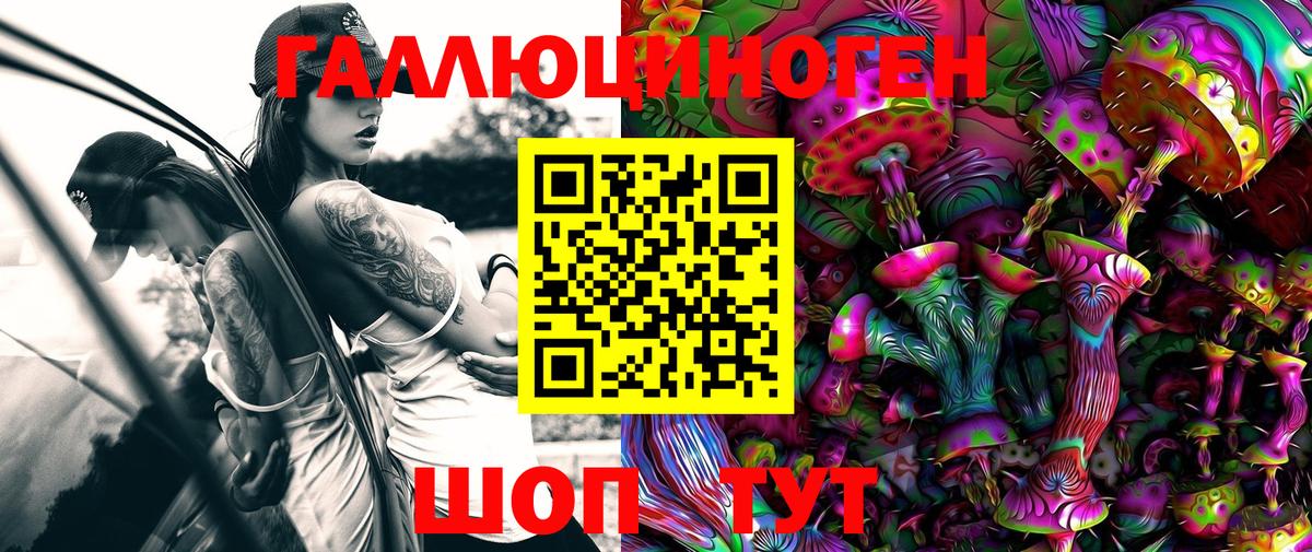 Кемерово  Галлюциногенные грибы Cubensis  Вход с VPN 